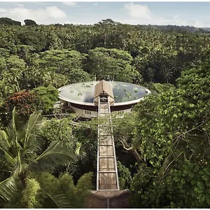 Four Seasons Bali At Sayan 5*, Ubud Endonezya